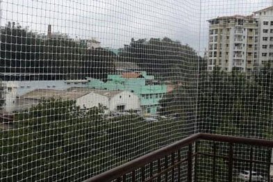 Enhancing Safety and Bird Control in Amanora Park Town Pune - Expert Solutions for Modern Homes