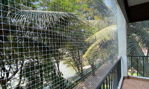 Ensuring Safety and Bird Control in Ghorpadi, Pune: A Comprehensive Guide to Modern Solutions