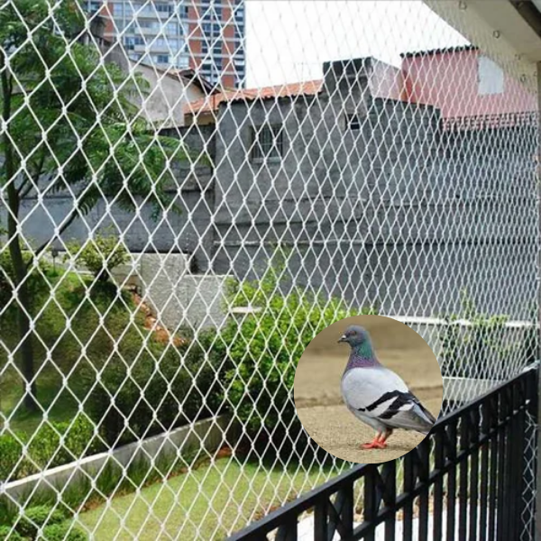 Ensuring Safety and Comfort — Pigeon Net Installation in Hadapsar, Pune